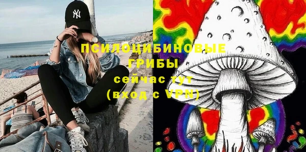 хмурый Абинск