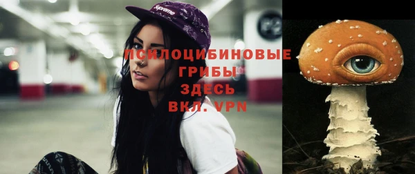 хмурый Абинск