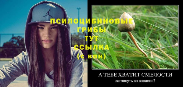 спиды Абдулино