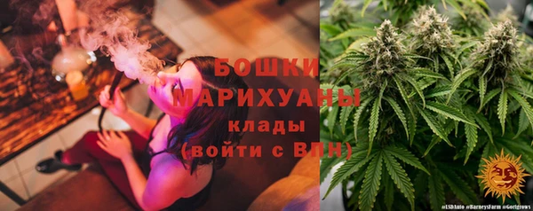 2c-b Алзамай
