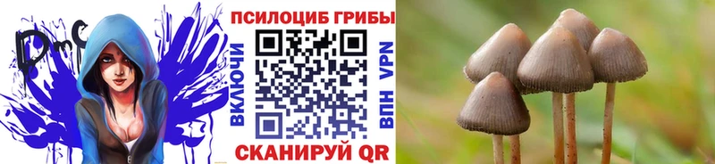Псилоцибиновые грибы мухоморы  Ливны 